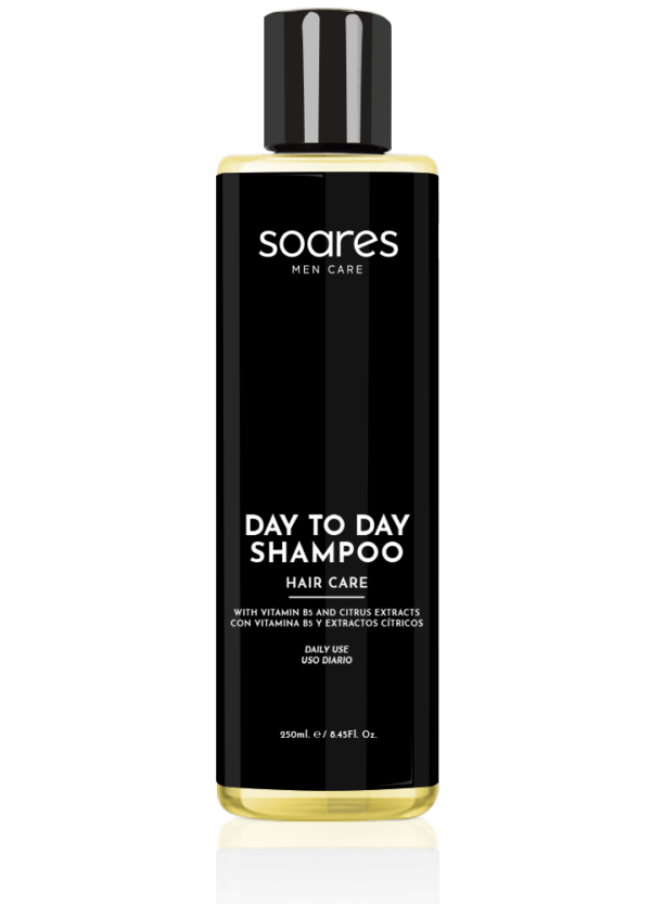 Day to Day Shampoo 250ml