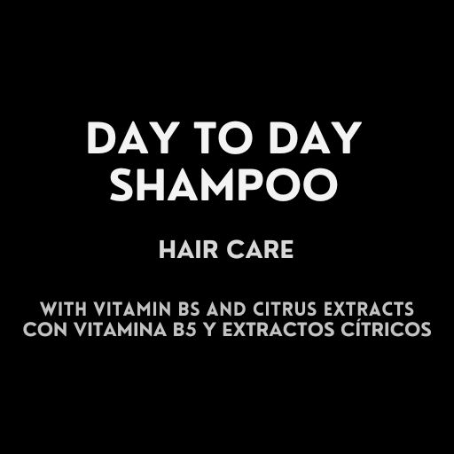 Day To Day Shampoo cuidado hombre - Soares Men Care